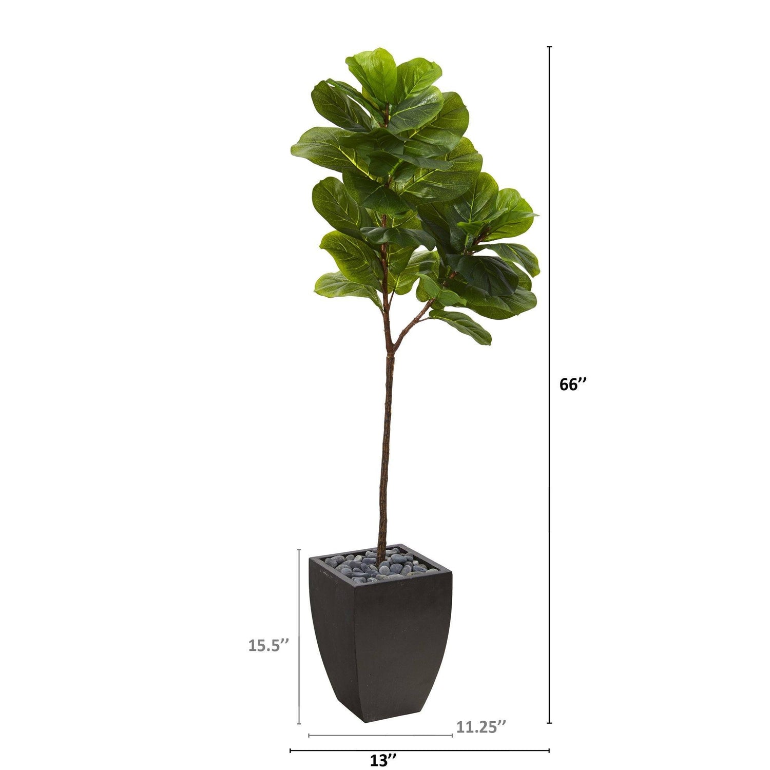 5.5’ Fiddle Leaf Artificial Tree in Black Planter (Real Touch)
