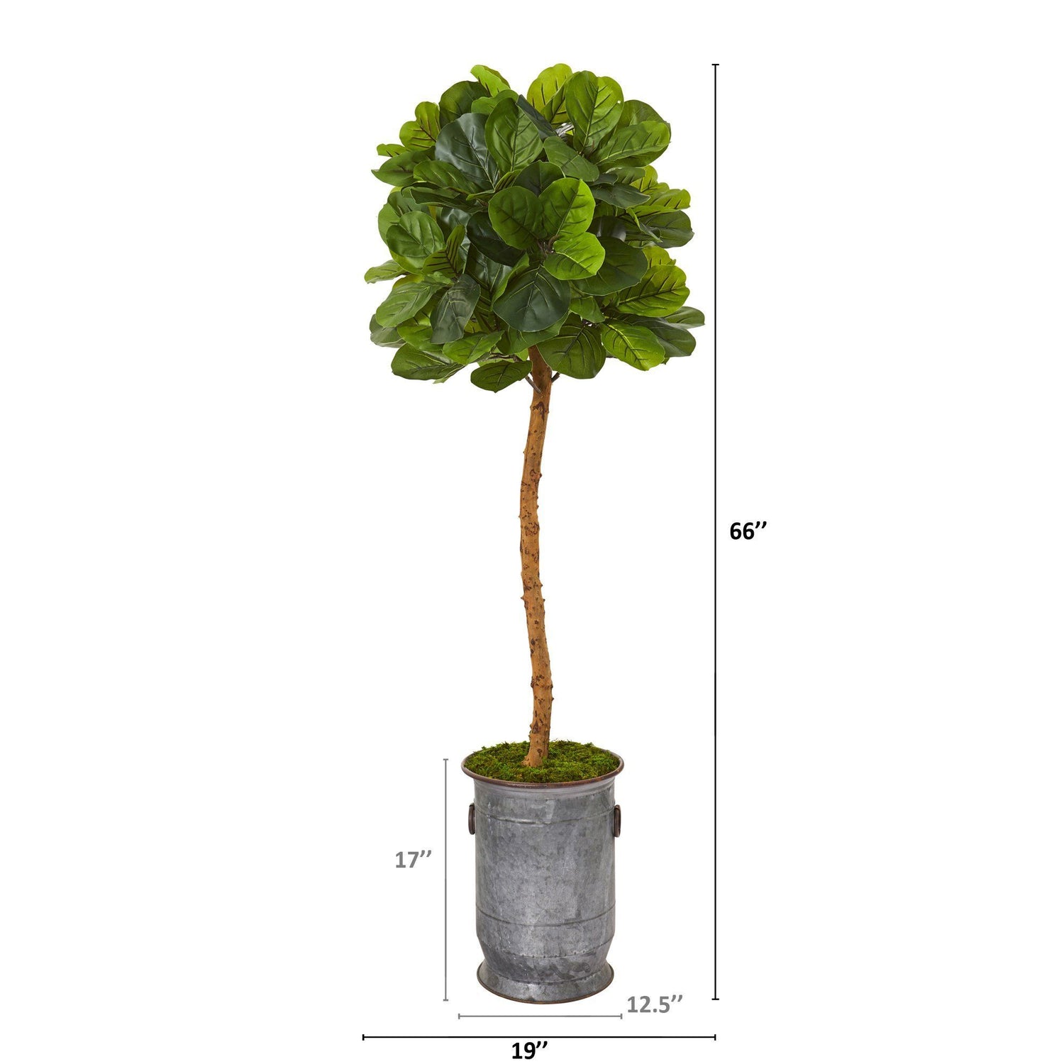 5.5’ Fiddle Leaf Artificial Tree in Copper Trimmed Metal Planter (Real Touch)