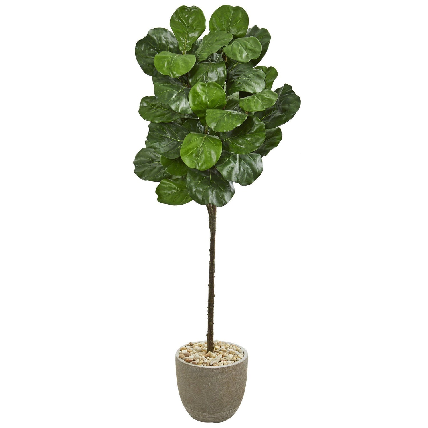 5.5’ Fiddle Leaf Artificial Tree in Sand Stone Finish Planter