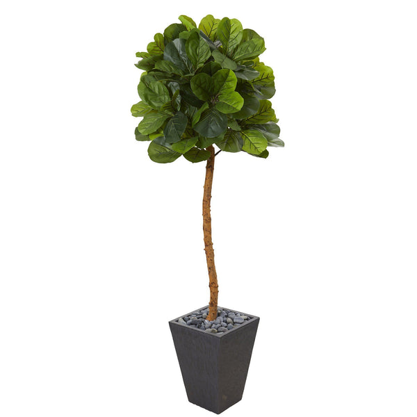 5.5’ Fiddle Leaf Artificial Tree in Slate Planter (Real Touch)