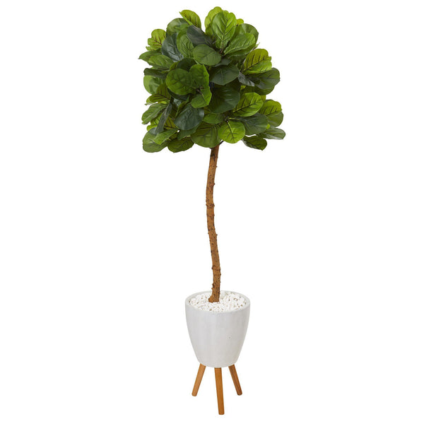 5.5’ Fiddle Leaf Artificial Tree in White Planter with Stand (Real Touch)