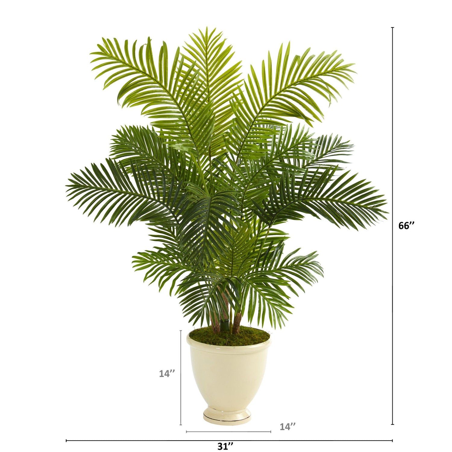 5.5’ Hawaii Palm Artificial Tree in Decorative Urn