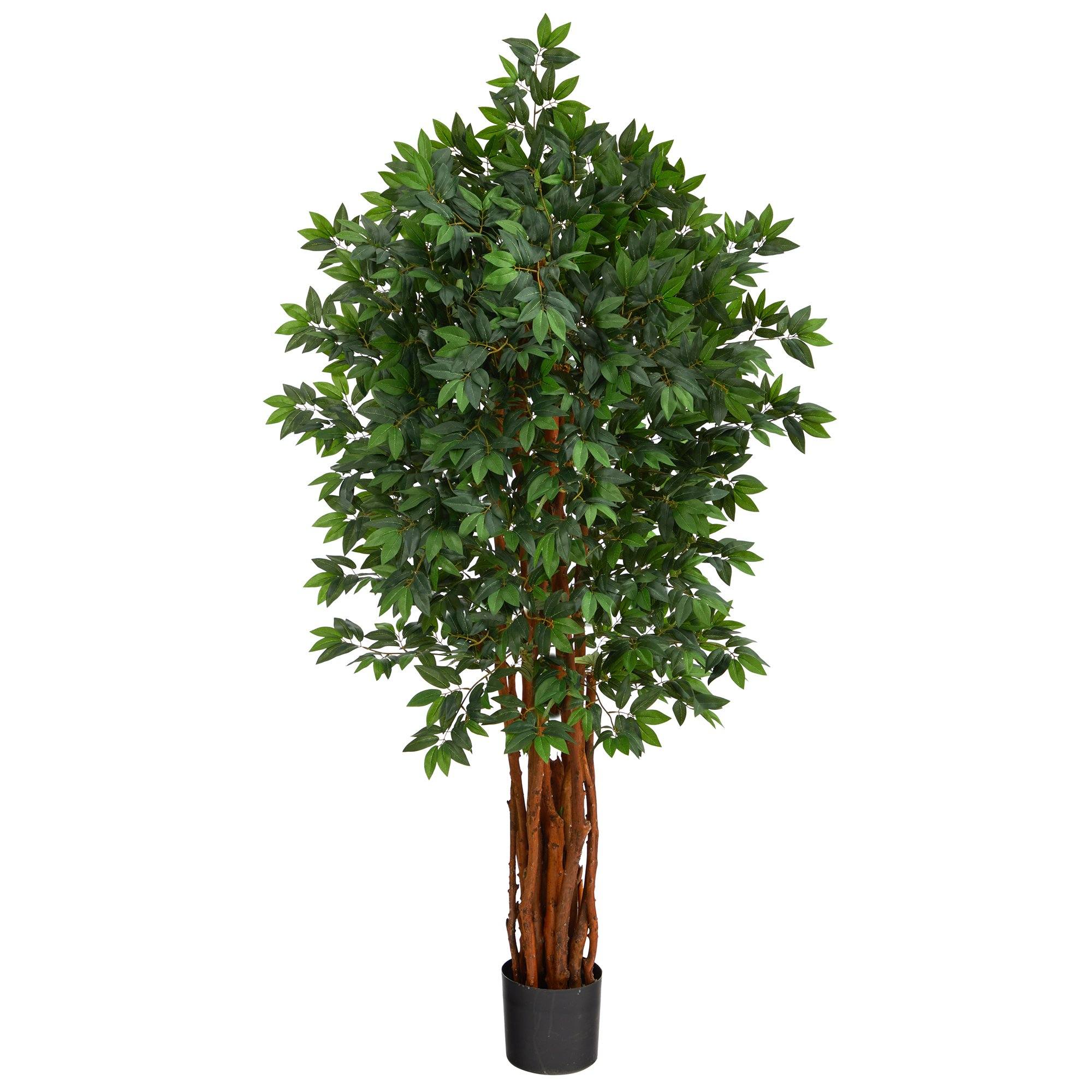 5.5’ Lychee Artificial Tree with Natural Trunk | Nearly Natural