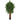 5.5’ Lychee Artificial Tree with Natural Trunk