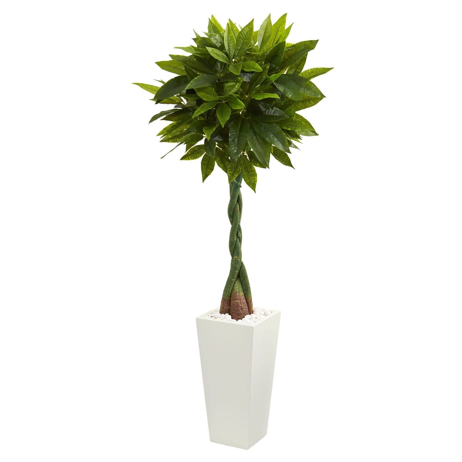 5.5’ Money Artificial Tree in White Tower Planter (Real Touch)