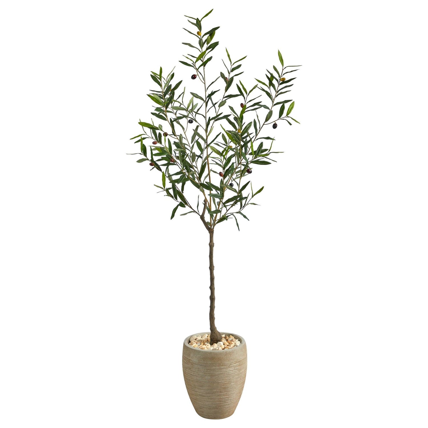 5.5’ Olive Artificial Tree in Sand Colored Planter