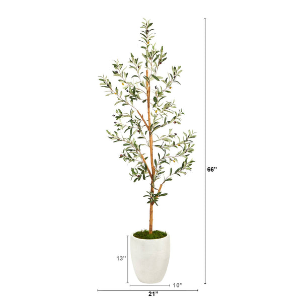 5.5’ Olive Artificial Tree in White Planter