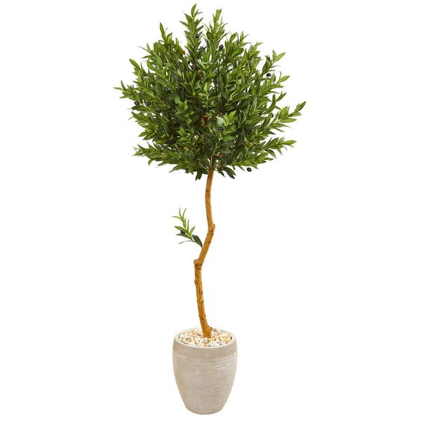 5.5’ Olive Topiary Artificial Tree in Sand Colored Planter  (Indoor/Outdoor)