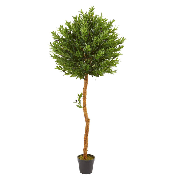 5.5’ Olive Topiary Artificial Tree UV Resistant (Indoor/Outdoor)