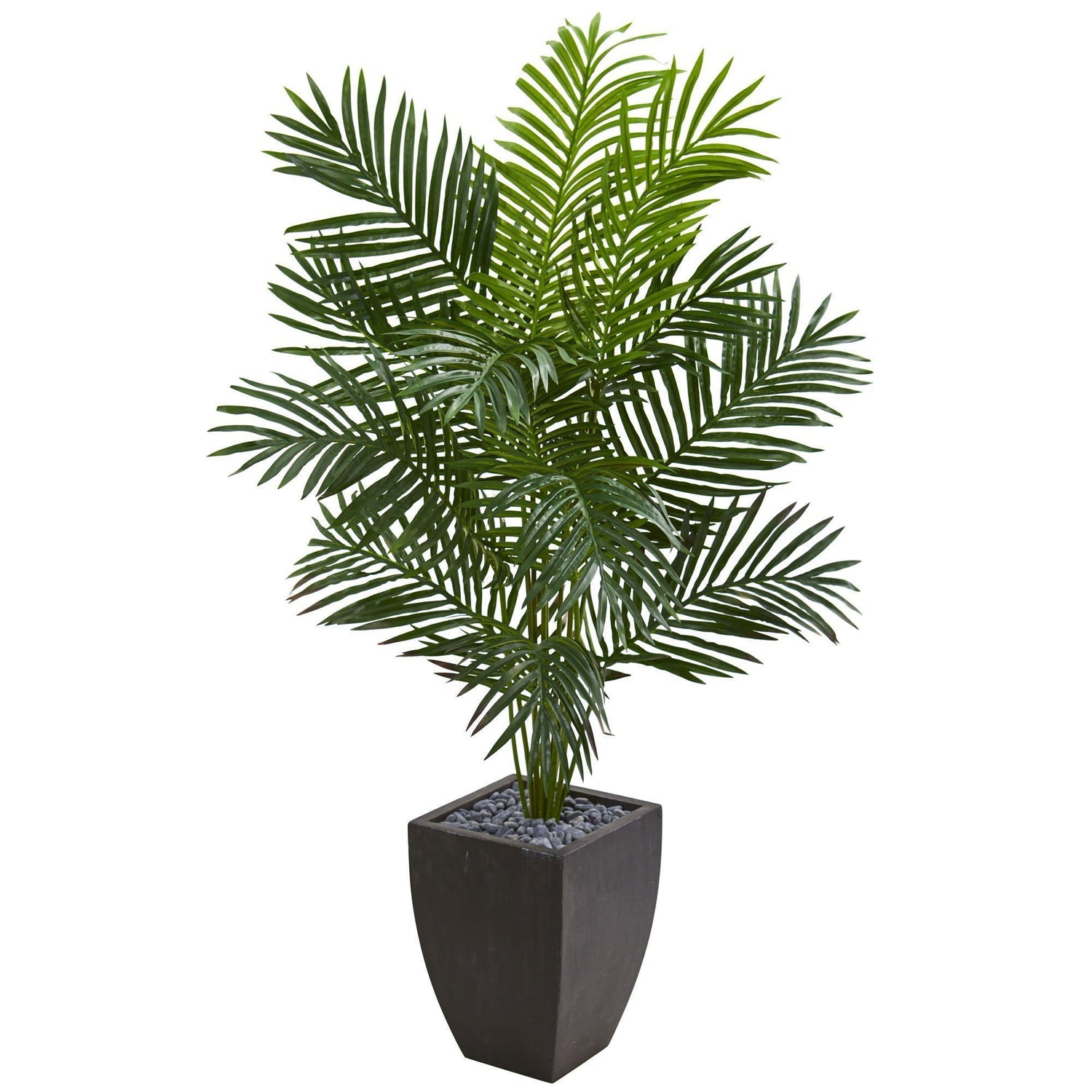 5.5’ Paradise Artificial Palm Tree in Black Planter