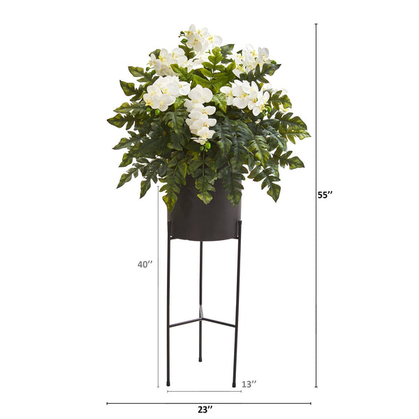 55” Phalaenopsis Orchid, Holly Fern Plant in Black Planter