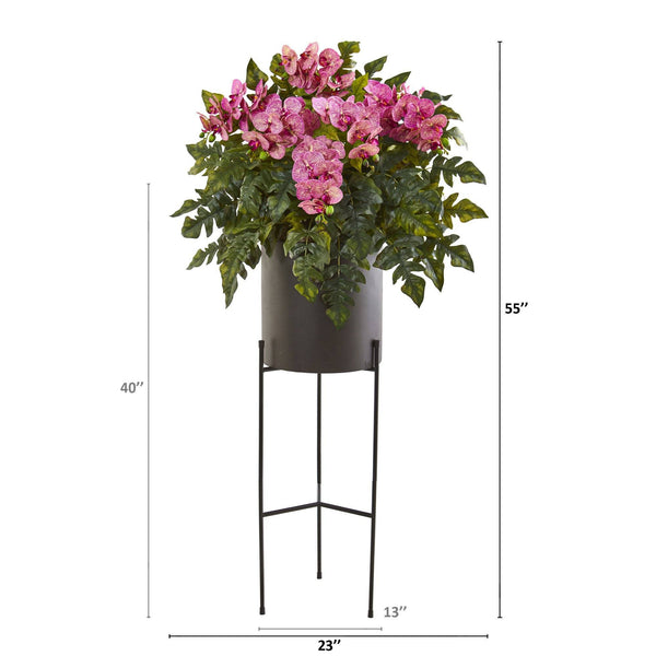 55” Phalaenopsis Orchid, Holly Fern Plant in Black Planter
