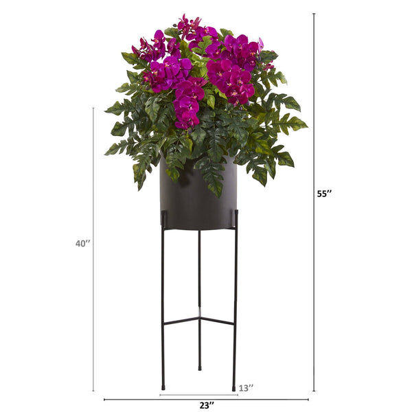 55” Phalaenopsis Orchid, Holly Fern Plant in Black Planter