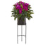 55” Phalaenopsis Orchid, Holly Fern Plant in Black Planter