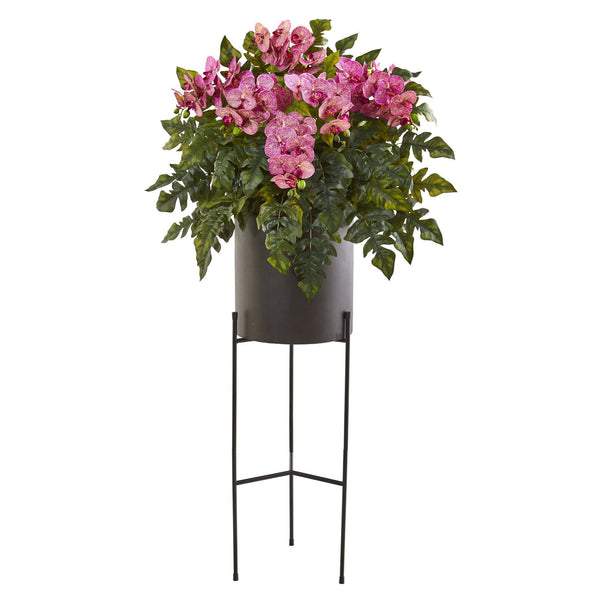 55” Phalaenopsis Orchid, Holly Fern Plant in Black Planter