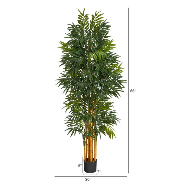 5.5’ Phoenix Artificial Palm tree with Natural Trunk