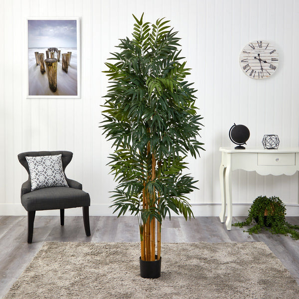 5.5’ Phoenix Artificial Palm tree with Natural Trunk