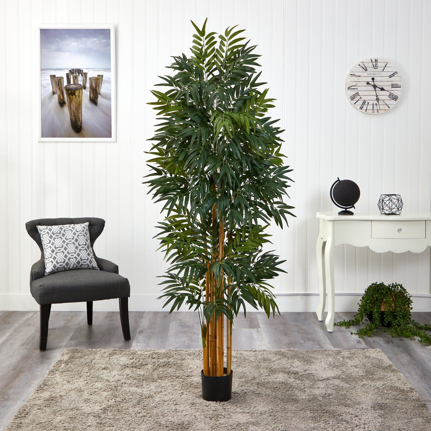 5.5’ Phoenix Artificial Palm tree with Natural Trunk