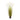 5.5’ Plum Grass Artificial Plant with Multicolored Grass