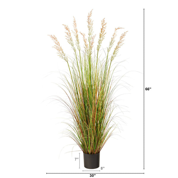 5.5’ Plum Grass Artificial Plant