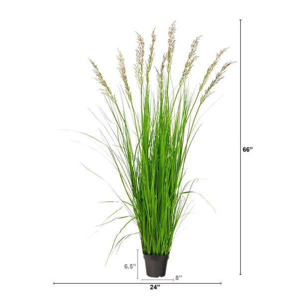 5.5’ Artificial Plum Grass Plant