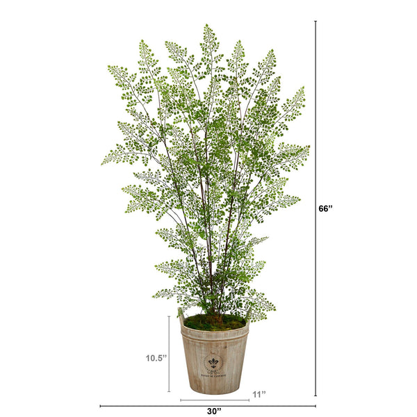 5.5’ Ruffle Fern Artificial Tree in Farmhouse Planter