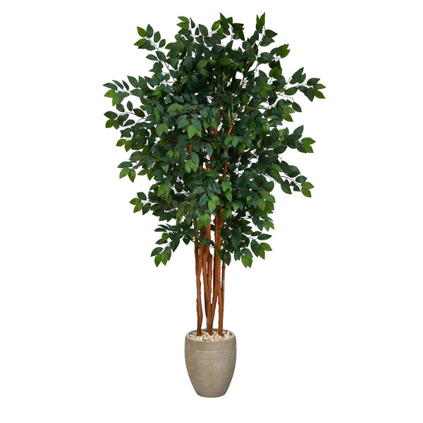 5.5’ Sakaki Artificial Tree with 1470 Bendable Branches in Sand Colored Planter