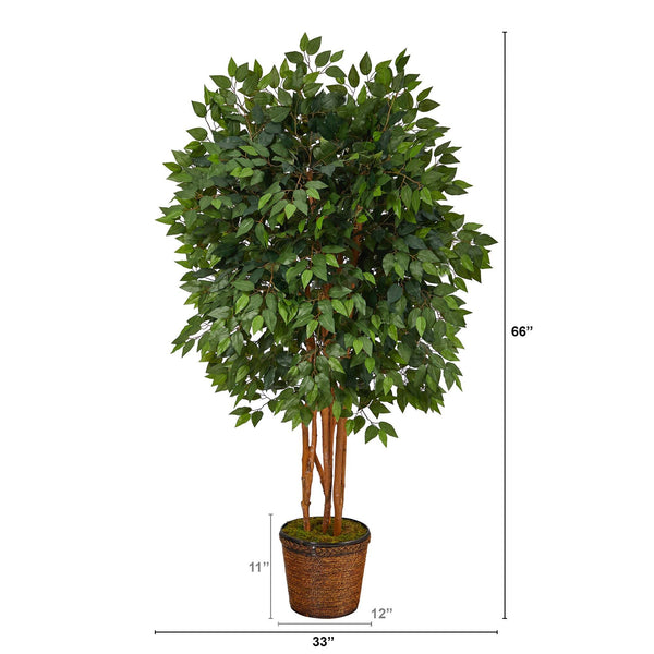 5.5’ Super Deluxe Ficus Artificial Tree in Wicker Planter