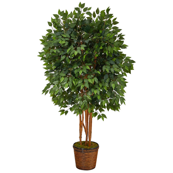 5.5’ Super Deluxe Ficus Artificial Tree in Wicker Planter