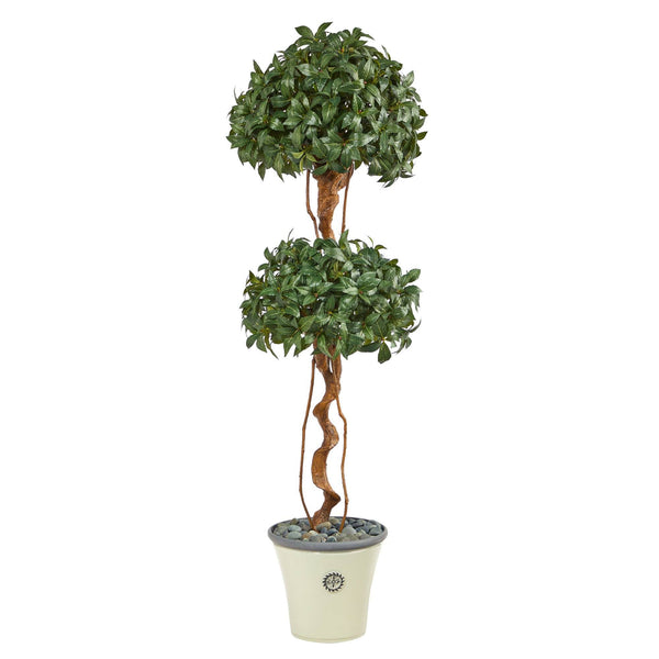 5.5’ Sweet Bay Double Ball Topiary Artificial Tree in Decorative Planter