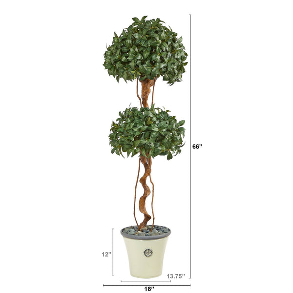 5.5’ Sweet Bay Double Ball Topiary Artificial Tree in Decorative Planter
