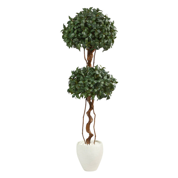 5.5’ Sweet Bay Double Ball Topiary Artificial Tree in White Planter