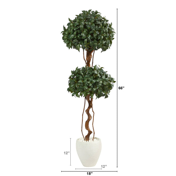 5.5’ Sweet Bay Double Ball Topiary Artificial Tree in White Planter