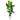 5.5’ Traveler's Palm Artificial Tree in White Metal Planter