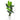 5.5’ Traveler's Palm Artificial Tree in White Metal Planter