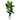 5.5’ Traveler's Palm Artificial Tree in White Planter