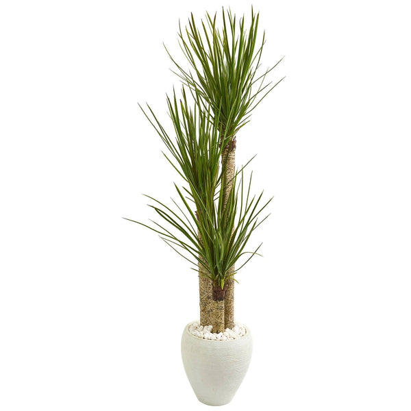 5.5’ Yucca Artificial Tree in White Planter
