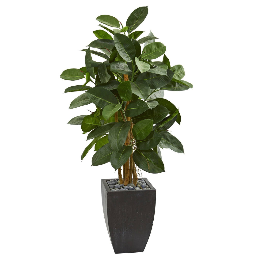 dark rubber tree 56” Artificial Rubber Tree in Black Planter