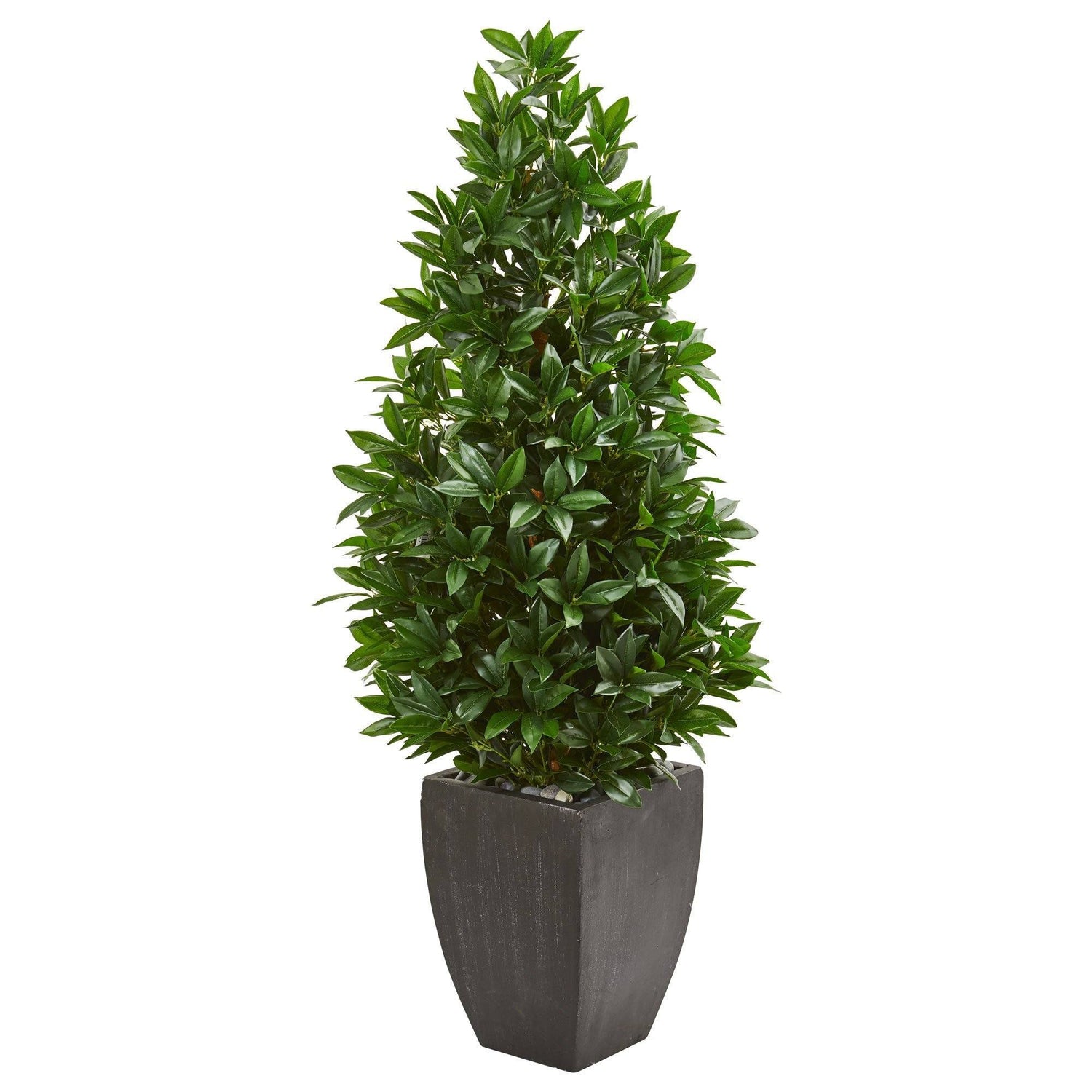 56” Bay Leaf Cone Topiary Artificial Tree UV Resistant in Black Planter (Indoor/Outdoor)