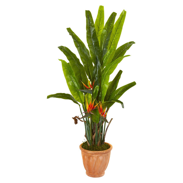 56” Bird of Paradise Artificial Plant in Terra-Cotta Planter