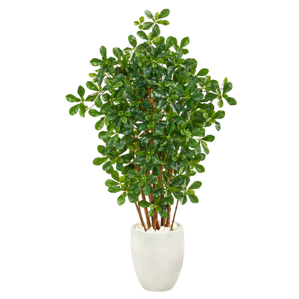 56” Black Olive Artificial Tree in White Planter