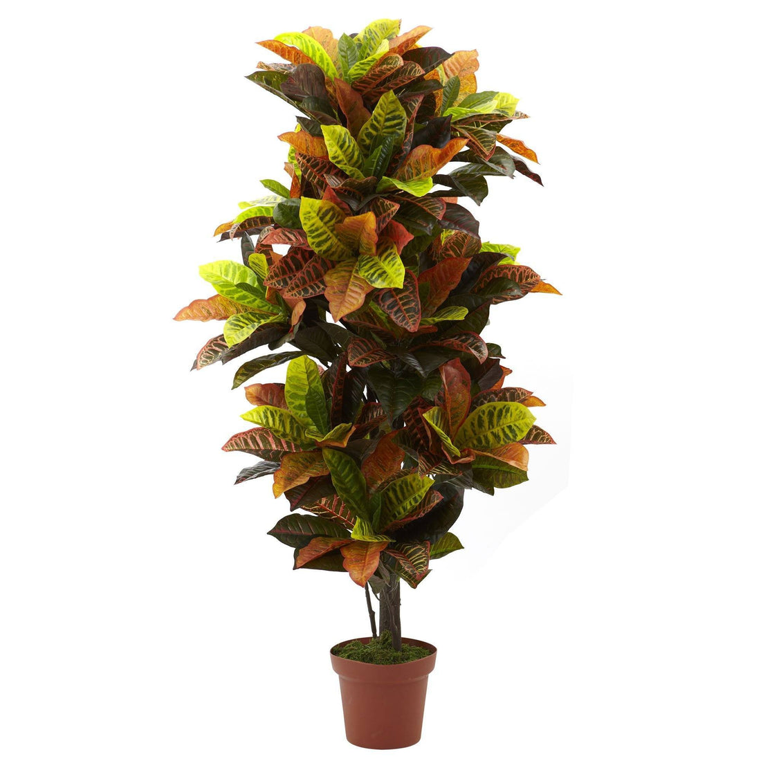 croton plant pot size 56” Croton Plant (Real Touch)
