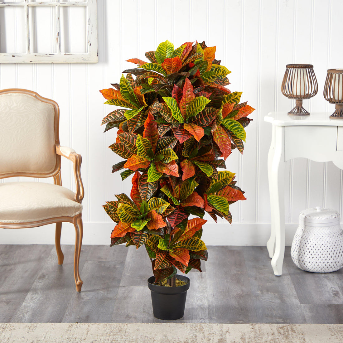 indoor potted croton plant 56” Croton Plant (Real Touch)
