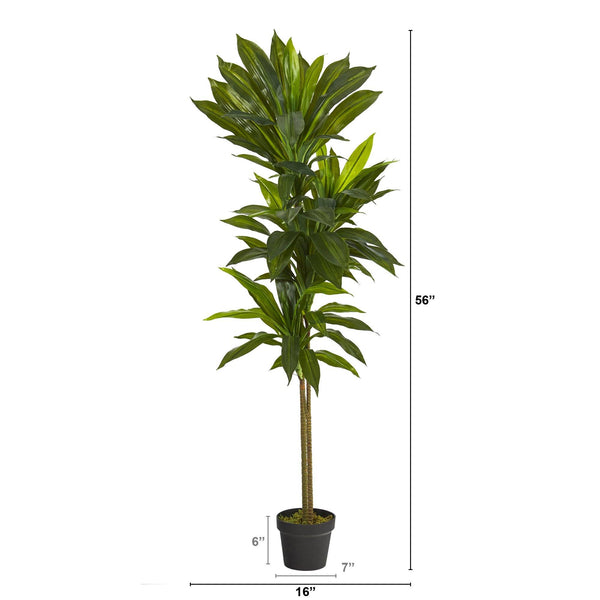 56” Dracaena Artificial Plant (Real Touch)