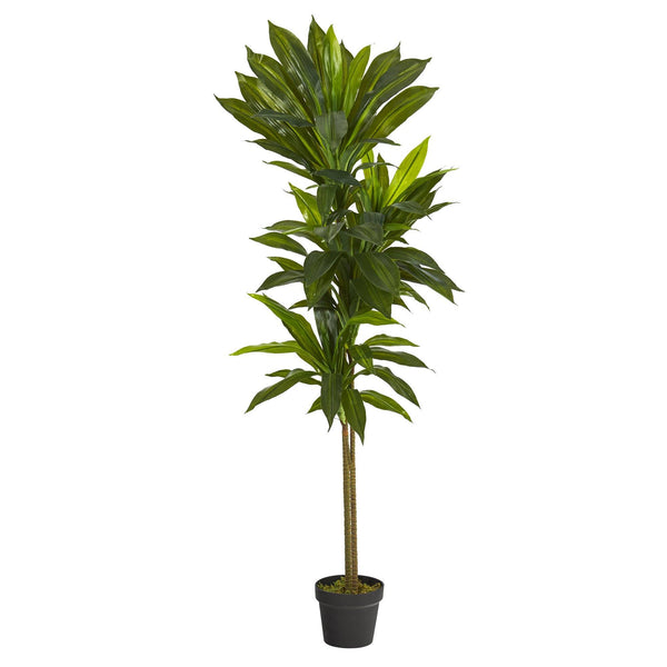 56” Dracaena Artificial Plant (Real Touch)