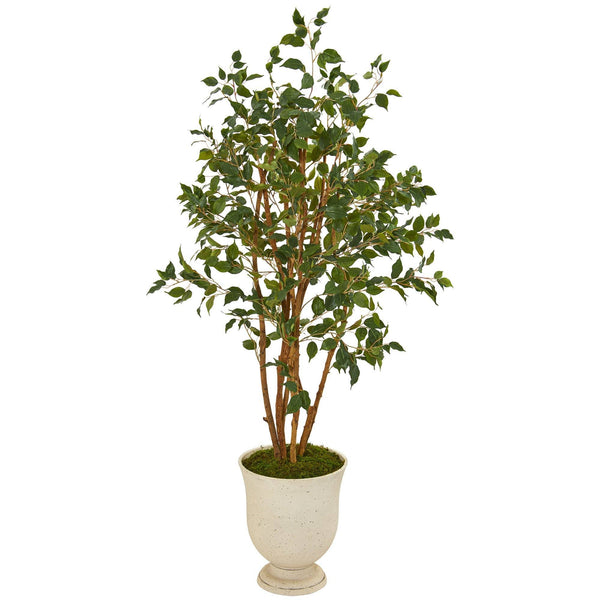 56” Ficus Artificial Tree in Decorative Urn
