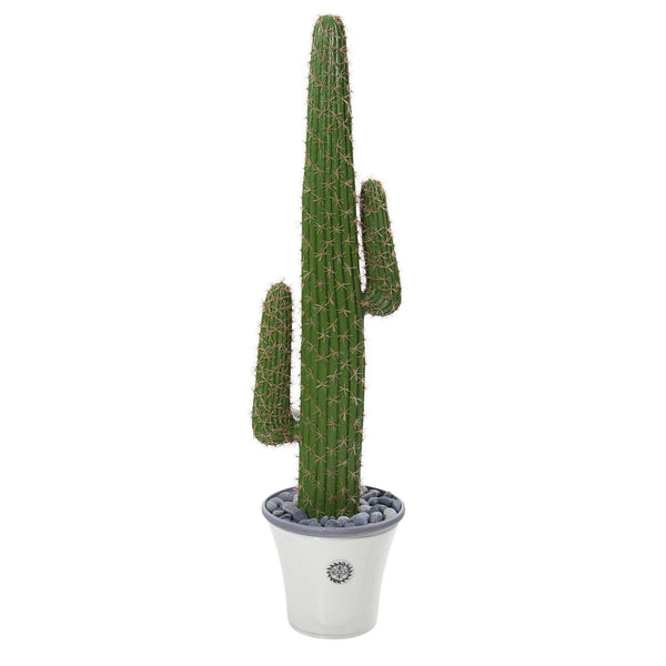 57” Cactus Artificial Plant in Decorative Planter