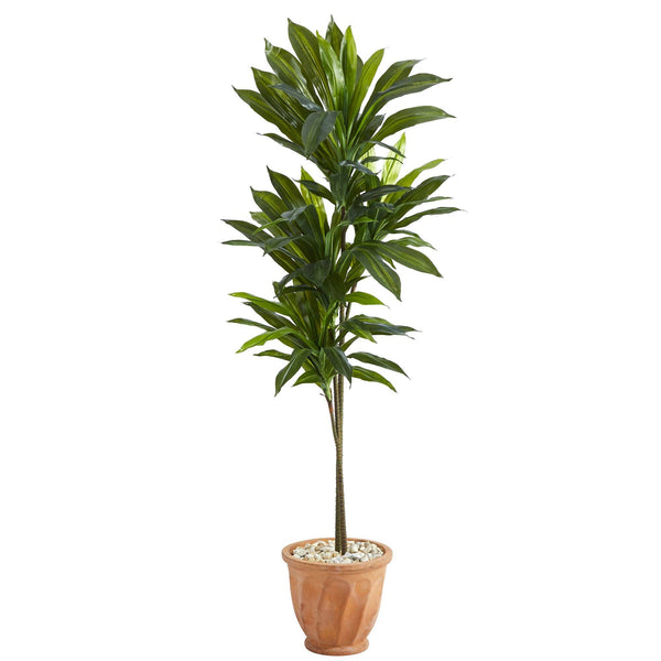 57” Dracaena Artificial Plant in Terra-Cotta Planter (Real Touch)