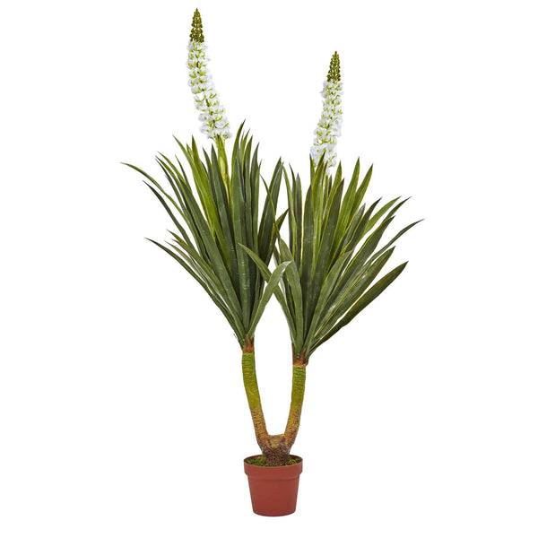 57” Flowering Yucca Plant