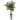 57” Golden Cane Artificial Palm Tree in Decorative Urn